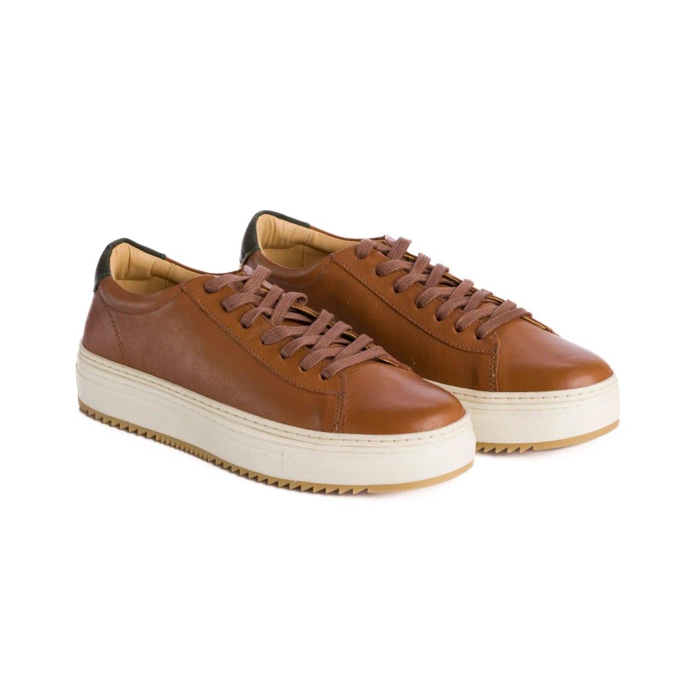 TÊNIS MASCULINO SNEAKERS TESEU HAVANA